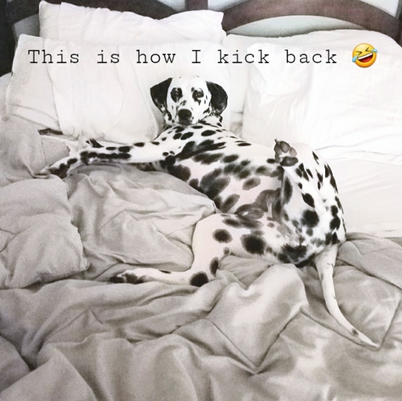 Meet your Posher, Stephanie - Picture 11 of 11